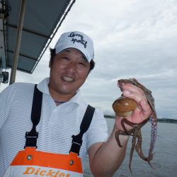 かもめ釣船 釣果
