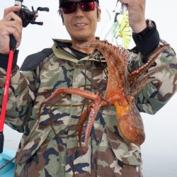 かもめ釣船 釣果