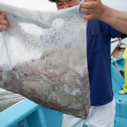 かもめ釣船 釣果