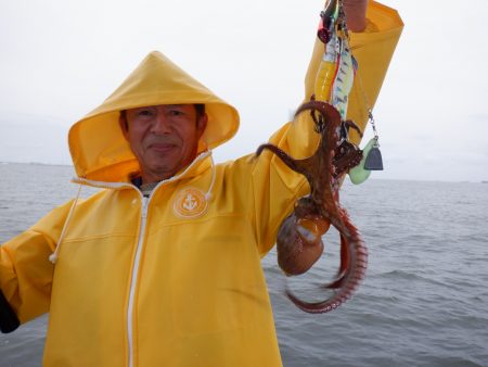 かもめ釣船 釣果