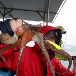 かもめ釣船 釣果
