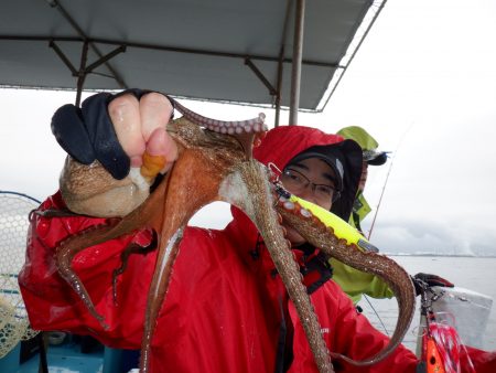 かもめ釣船 釣果