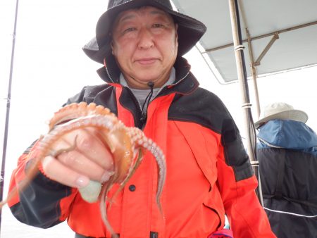 かもめ釣船 釣果