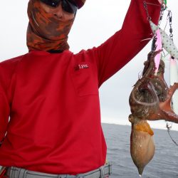 かもめ釣船 釣果