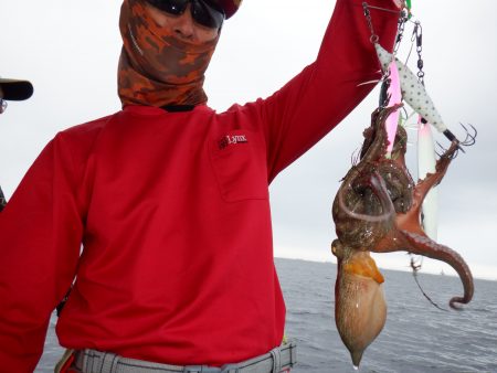 かもめ釣船 釣果