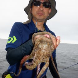 かもめ釣船 釣果