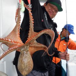 かもめ釣船 釣果