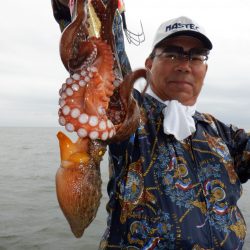 かもめ釣船 釣果