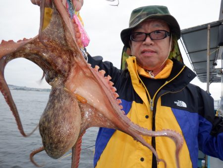 かもめ釣船 釣果