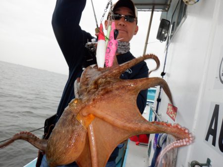 かもめ釣船 釣果