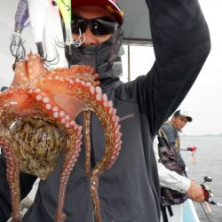 かもめ釣船 釣果