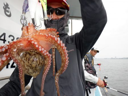 かもめ釣船 釣果