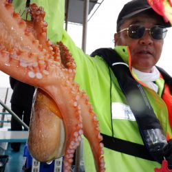 かもめ釣船 釣果