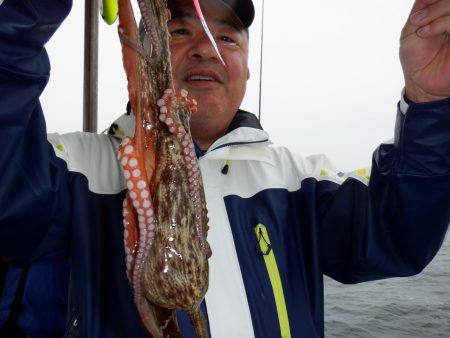 かもめ釣船 釣果