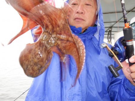 かもめ釣船 釣果