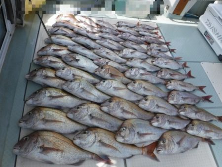 遊漁船 幸友丸 釣果