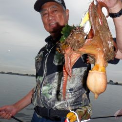 かもめ釣船 釣果