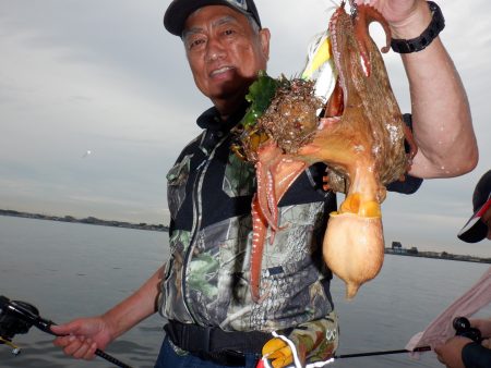 かもめ釣船 釣果