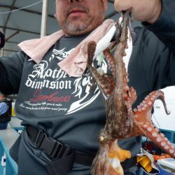 かもめ釣船 釣果