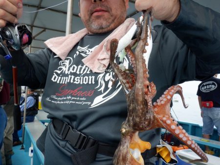 かもめ釣船 釣果