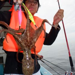 かもめ釣船 釣果