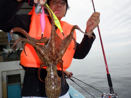 かもめ釣船 釣果