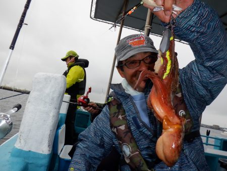 かもめ釣船 釣果