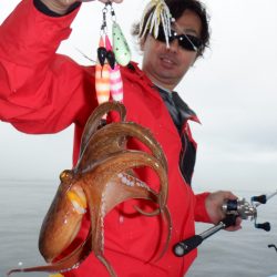 かもめ釣船 釣果