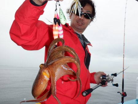 かもめ釣船 釣果