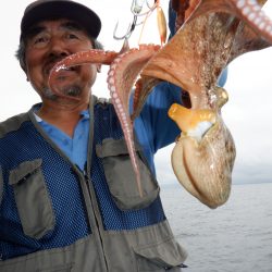 かもめ釣船 釣果