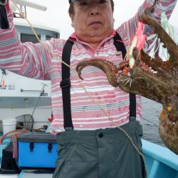 かもめ釣船 釣果