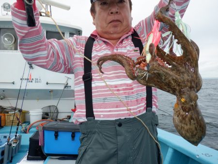 かもめ釣船 釣果