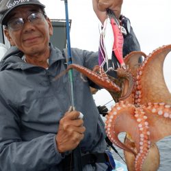 かもめ釣船 釣果