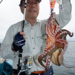 かもめ釣船 釣果