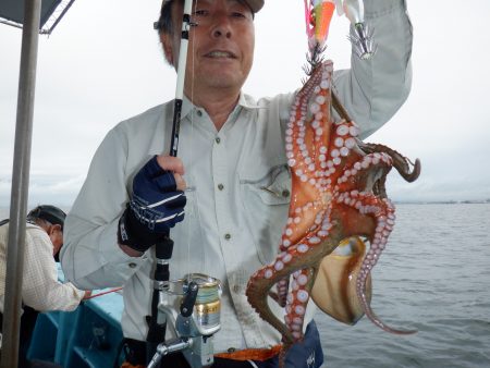 かもめ釣船 釣果