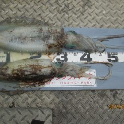 下関フィッシングパーク 釣果