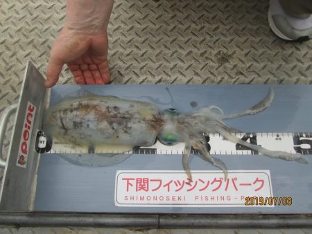 下関フィッシングパーク 釣果