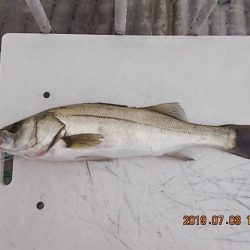 姫路市立遊魚センター 釣果