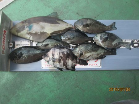 下関フィッシングパーク 釣果