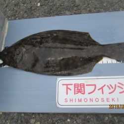 下関フィッシングパーク 釣果