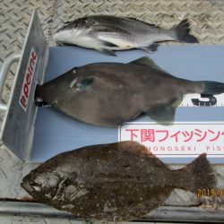 下関フィッシングパーク 釣果