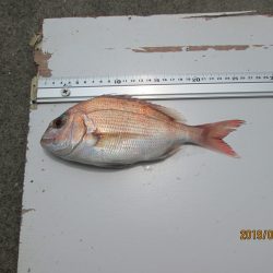 下関フィッシングパーク 釣果