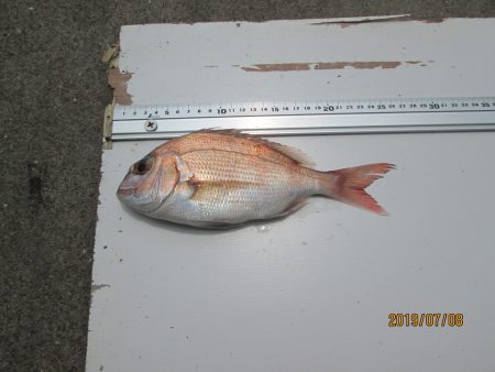 下関フィッシングパーク 釣果