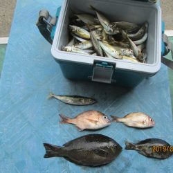 下関フィッシングパーク 釣果