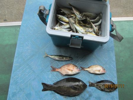 下関フィッシングパーク 釣果