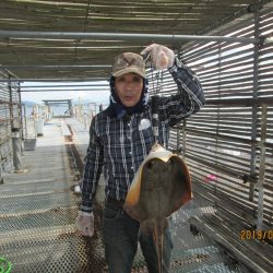 下関フィッシングパーク 釣果