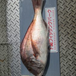 下関フィッシングパーク 釣果