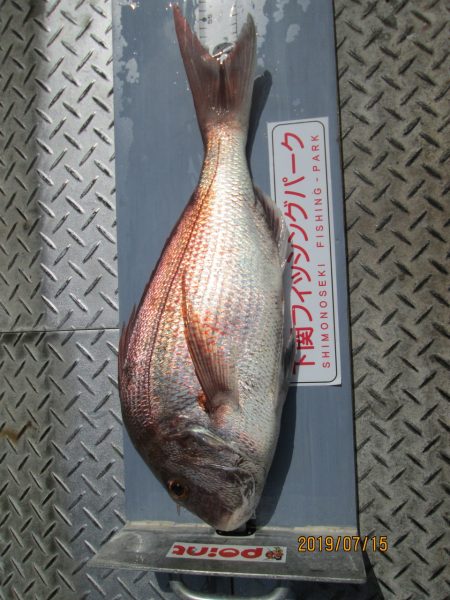 下関フィッシングパーク 釣果