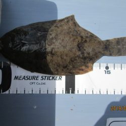 下関フィッシングパーク 釣果