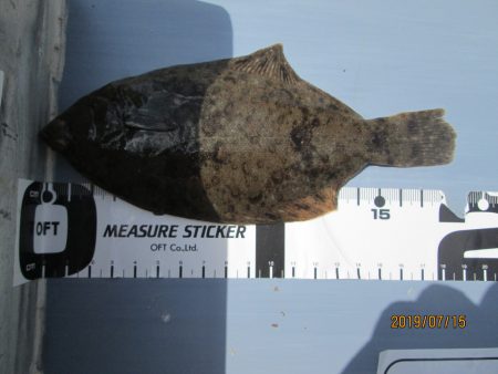 下関フィッシングパーク 釣果